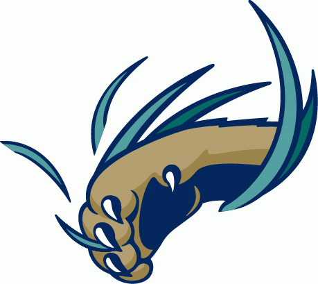 FIU Panthers 2001-2008 Alternate Logo DIY iron on transfer (heat transfer)